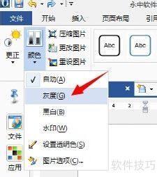 ����office���ţ�[15]��������ͼƬתΪ��ɫ