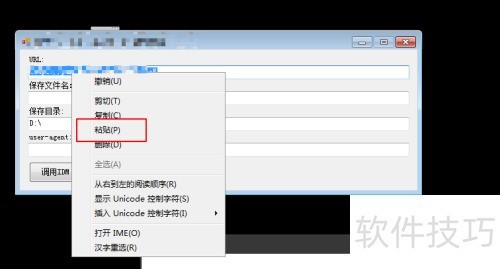 IDM�������User Agent