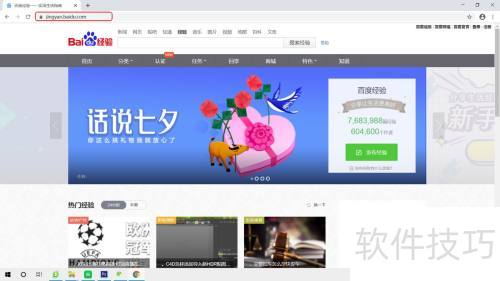 GoogleChorme�����������ѡҳ������