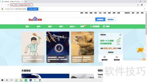 GoogleChorme�����������ѡҳ������