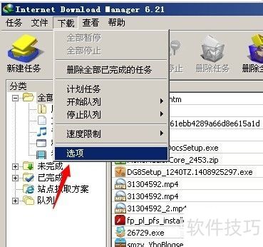 ֹͣIDM���������