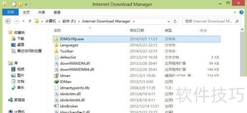 IDM��������취
