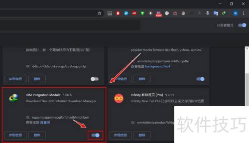 Google�������IDM���