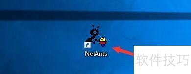 NetAnts������ö�ʱ���ع���