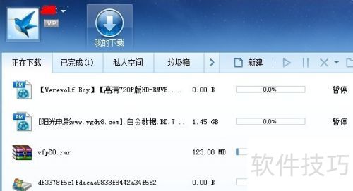 IDM��Ѹ���ĸ��ã�