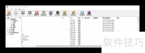 ���ʹ��IDM �����ļ�����