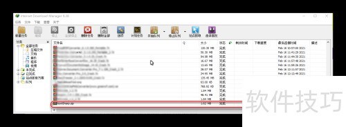 ���ʹ��IDM �����ļ�����