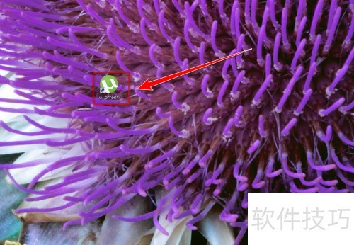 uTorrent��θ�������