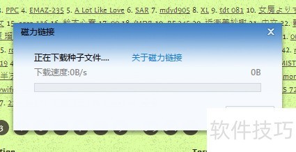 torrentkitty�򲻿���ô���