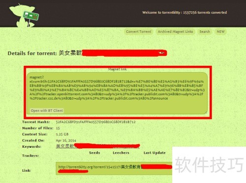 torrentkitty�򲻿���ô���