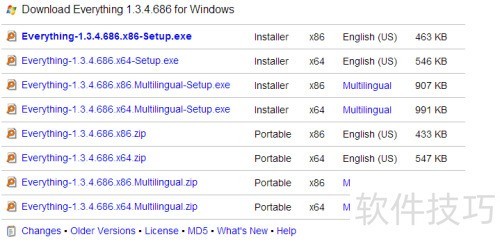 ��ΰ�װ��������everything�����԰�