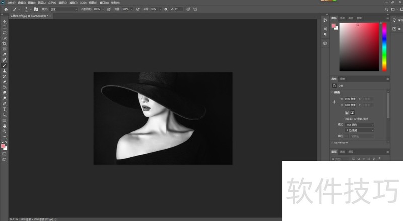 黑白照片上色软件:多种操作技巧,轻松给黑白照上色 黑白照片上色软件:多种操作技巧,轻松给黑白照上色