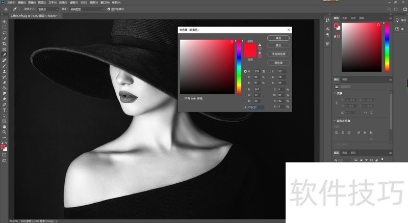 黑白照片上色软件:多种操作技巧,轻松给黑白照上色 黑白照片上色软件:多种操作技巧,轻松给黑白照上色