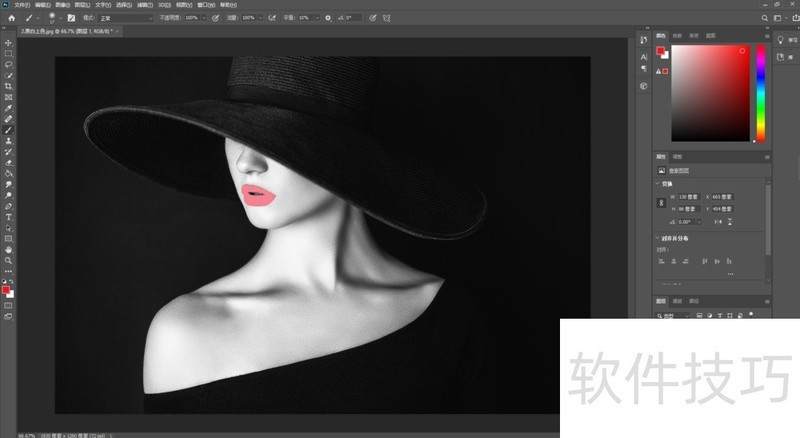 黑白照片上色软件:多种操作技巧,轻松给黑白照上色 黑白照片上色软件:多种操作技巧,轻松给黑白照上色