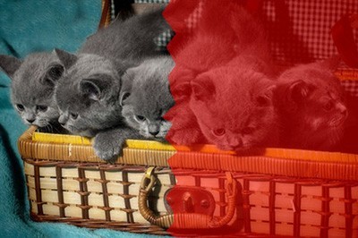 Photoshop������Ƭ˺��Ч������ϸ��������