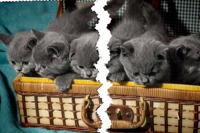 Photoshop������Ƭ˺��Ч������ϸ��������