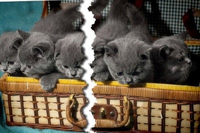 Photoshop������Ƭ˺��Ч������ϸ��������