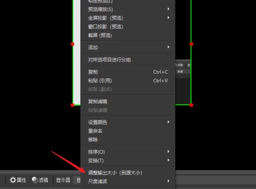 OBS Studio怎么选择录屏区域?OBS Studio选择录屏区域教程 OBS Studio怎么选择录屏区域?OBS Studio选择录屏区域教程
