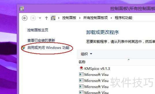 IIS软件全解析:操作技巧、安装及适用系统 IIS软件全解析:操作技巧、安装及适用系统