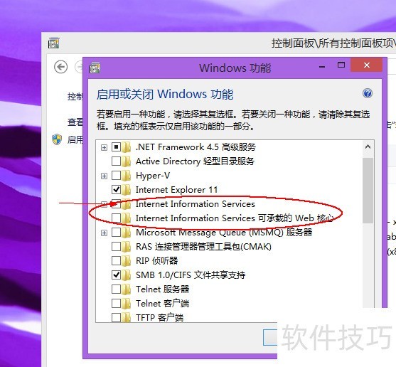 IIS软件全解析:操作技巧、安装及适用系统 IIS软件全解析:操作技巧、安装及适用系统
