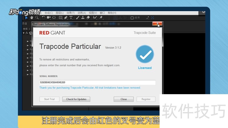 Particular�����AE���Ӳ����������ȫ����