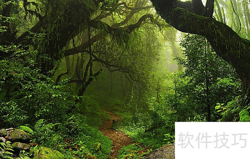 眼保健操软件:操作技巧、好处及步骤全知道 眼保健操软件:操作技巧、好处及步骤全知道