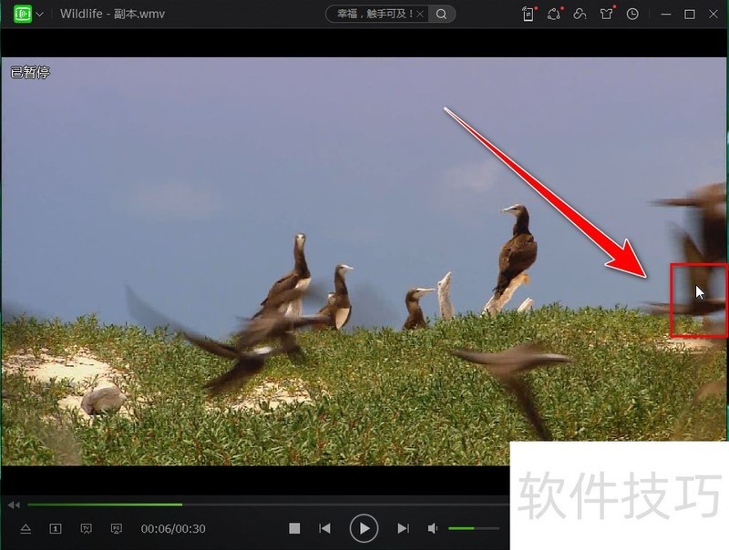 ������������������������ȫ֪��������������Ӱ��������