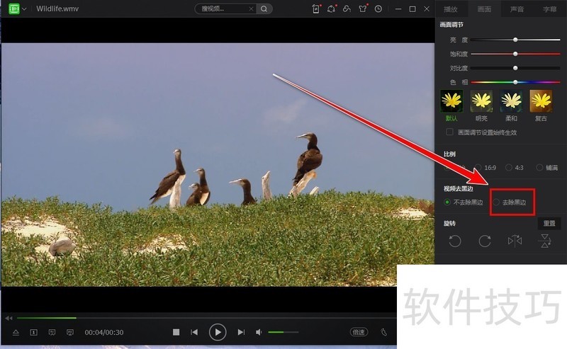 ������������������������ȫ֪��������������Ӱ��������