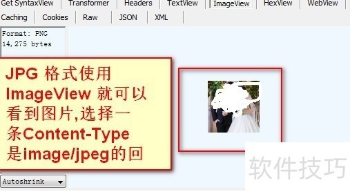 Fiddler������HTTP����ץ�������ֲ�������ȫ����