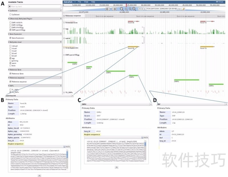 DataGridView���������ܡ���������ȫ����