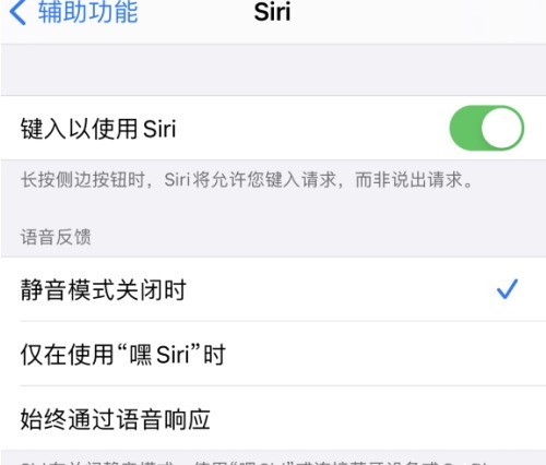 如何开启iPhone12语音助手Siri?iPhone12语音助手Siri开启方法