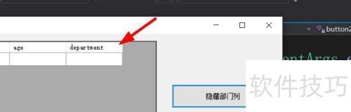 C#��DataGridView��ζ�̬��ʾ��������