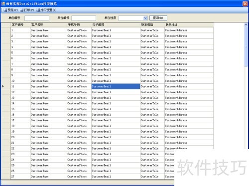 ���ʵ��DataGridView�б���ӡԤ��