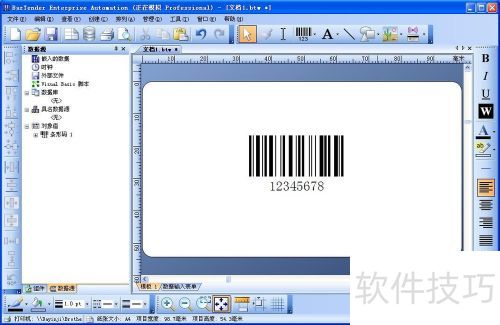 �Զ���BarTender������