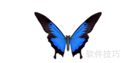 ���λ�������������