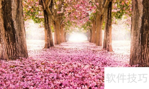 �����۱���������Щ�ô���