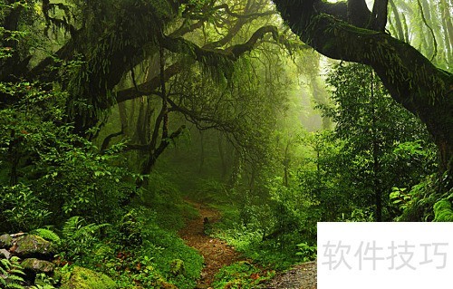 �����۱���������Щ�ô���