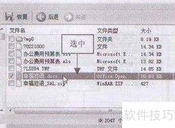 ��FinalRecovery�����߼��ָ���ʧ����