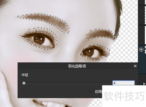 AffinityPhoto�������ڰ���Ƭ��ɫ