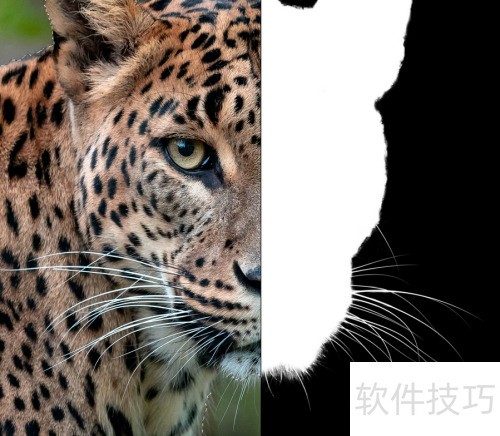 AffinityPhoto��һ��ʲô��������