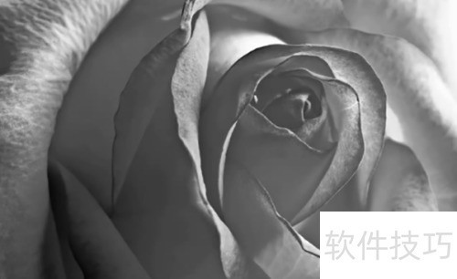 ��ô���ڰ���Ƭ��ɫ����ô��ps���ڰ���Ƭ��ɫ