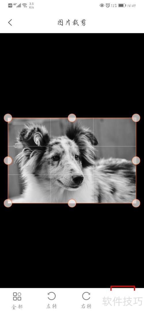 在手机上怎么给黑白照片上色? 在手机上怎么给黑白照片上色?