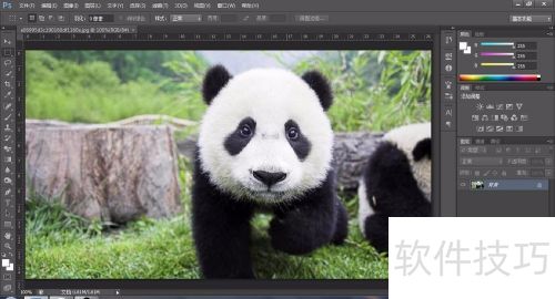 photoshop如何给黑白照片上色 photoshop如何给黑白照片上色