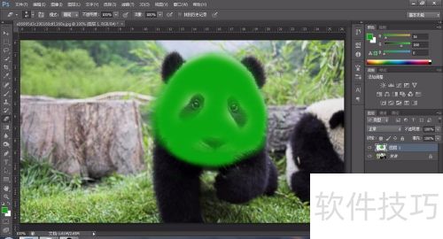 photoshop如何给黑白照片上色 photoshop如何给黑白照片上色