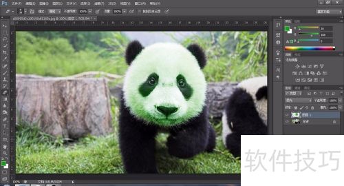 photoshop如何给黑白照片上色 photoshop如何给黑白照片上色