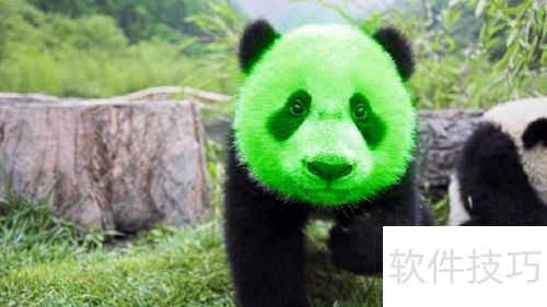 photoshop如何给黑白照片上色 photoshop如何给黑白照片上色