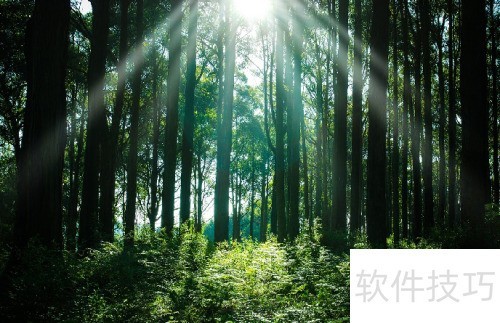 AffinityPhoto��������Ү�չ���Ч��