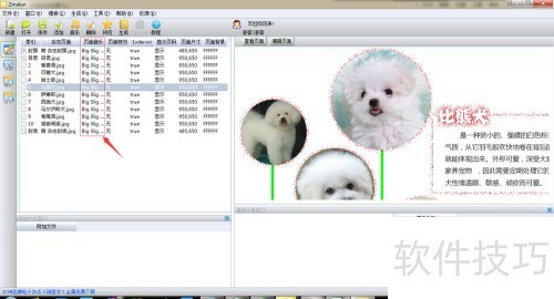 Zmaker如何制作电子杂志 Zmaker如何制作电子杂志