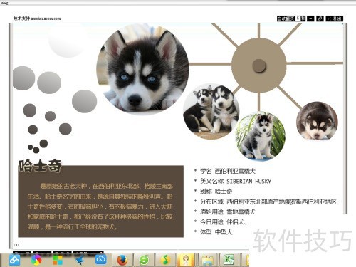 Zmaker如何制作电子杂志 Zmaker如何制作电子杂志