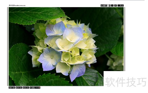 如何用ZMaker制作电子杂志 如何用ZMaker制作电子杂志